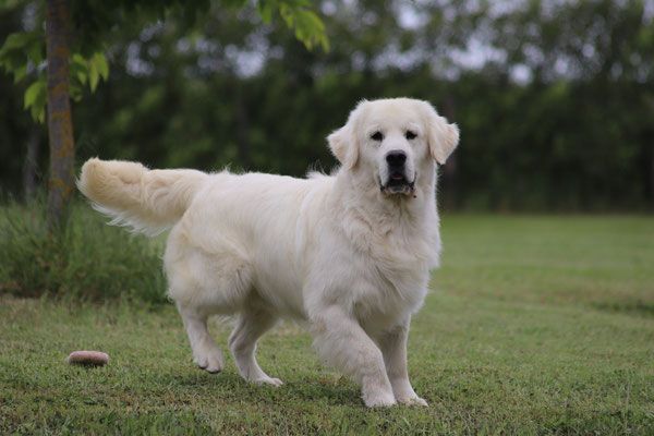 Prochaine Porté avec Thyna